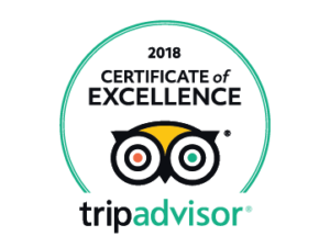 Certificate of Excellence