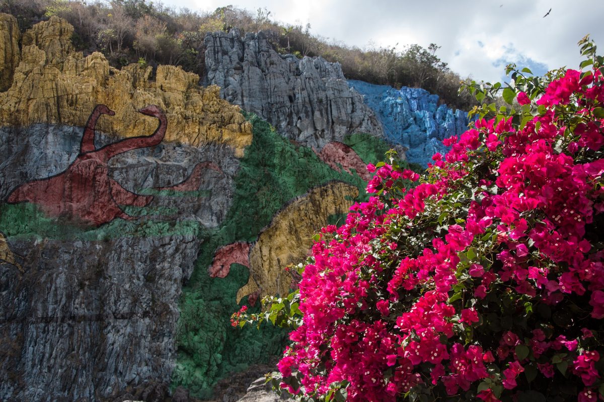 vinales day tour