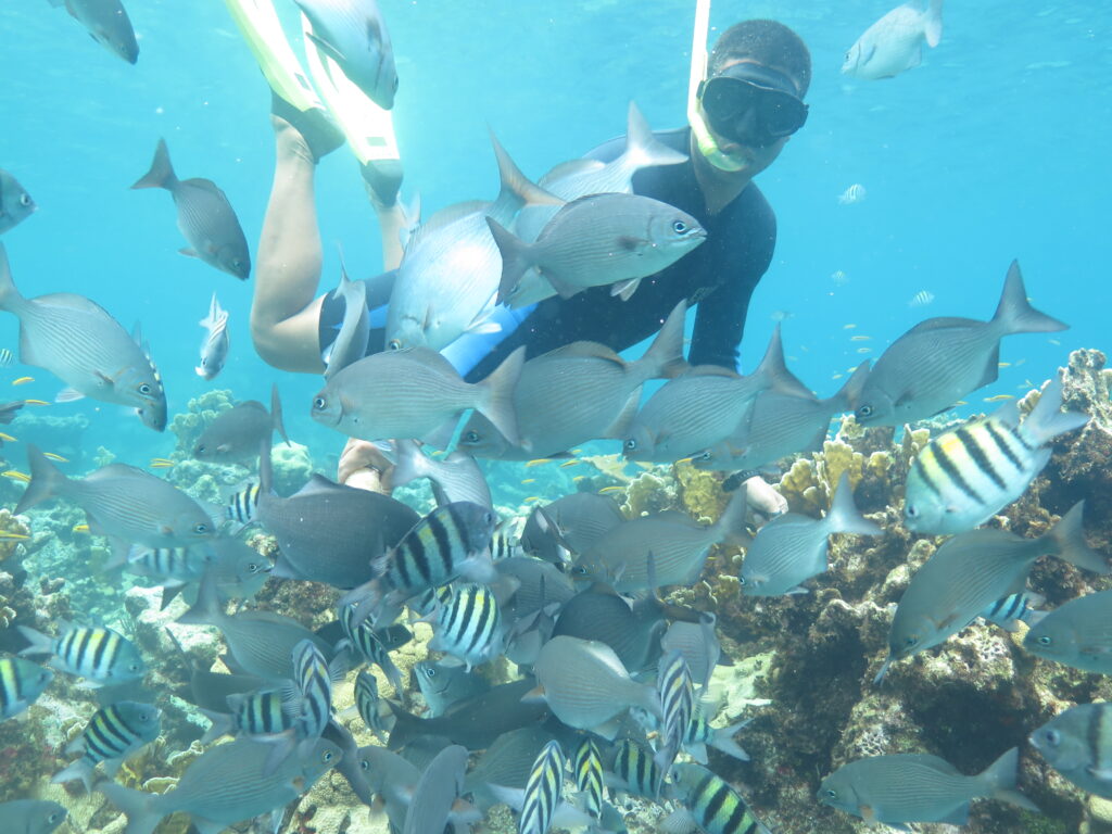 snorkeling tour