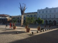 Havana vintage car tours