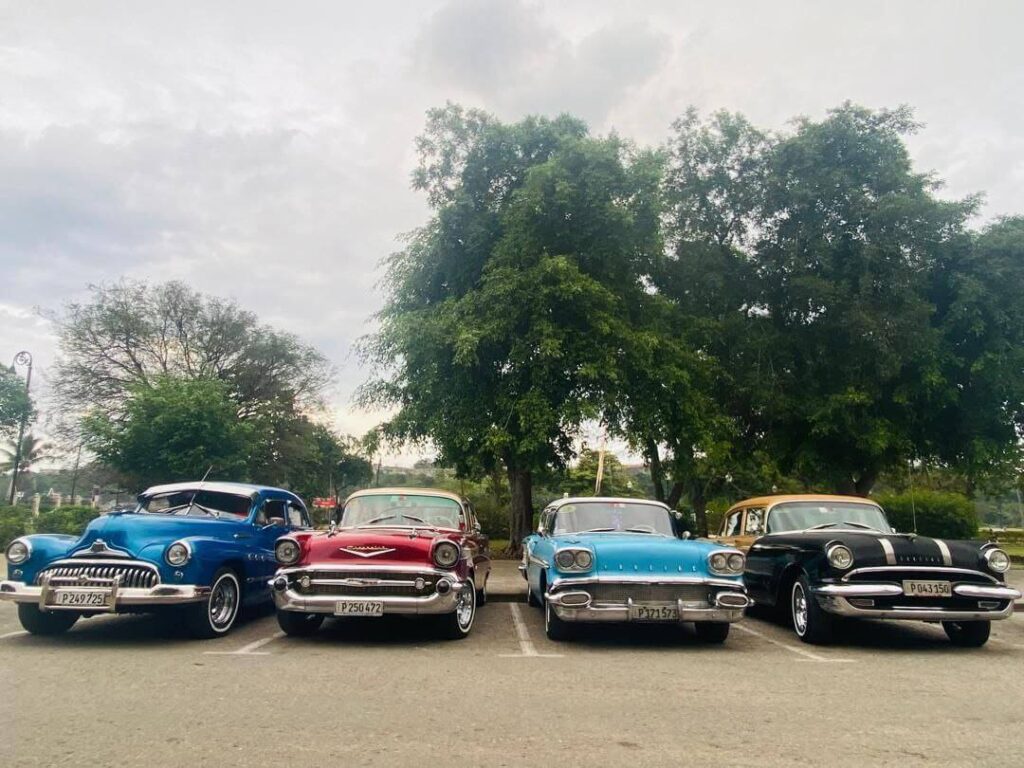 Row of colorful vintage cars parked under trees in Havana