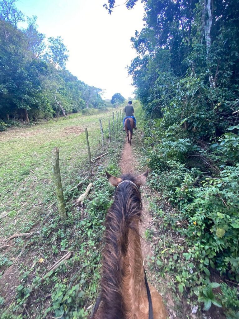 Viñales Valley