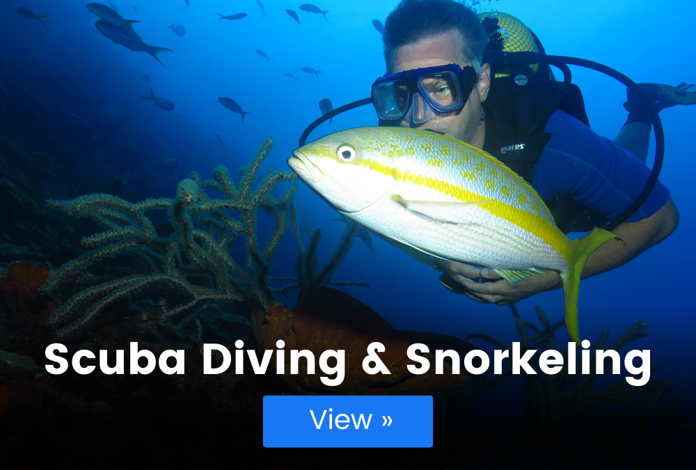 scuba diving and snorkeling from varadero cuba and havana